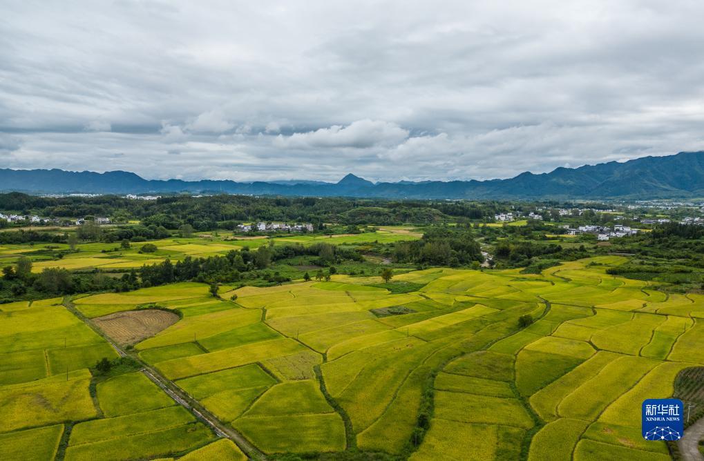 gmg游戏平台